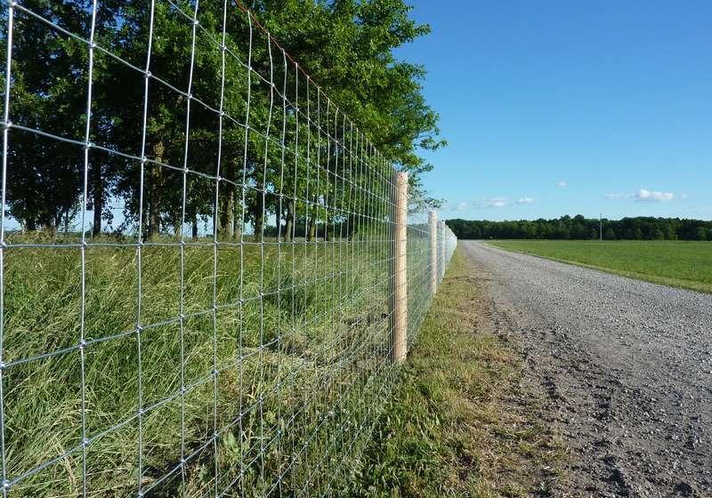 A fencing farm features a wire fence with wooden posts running parallel to a gravel road, separating grassy land with trees from an open green field under a clear blue sky.