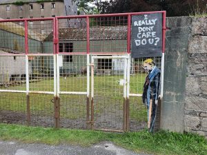 Belleville Fence Installations: Stunning Options for Homeowners