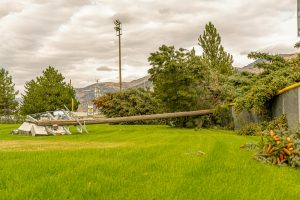 Fence Repair Barrie: Must-Have Solutions for Storm Damage