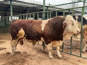 Fencing for Farms: Stunning and Affordable Solutions in Ontario